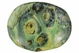 Kambaba Jasper Worry Stones - 1.5" Size - Photo 2